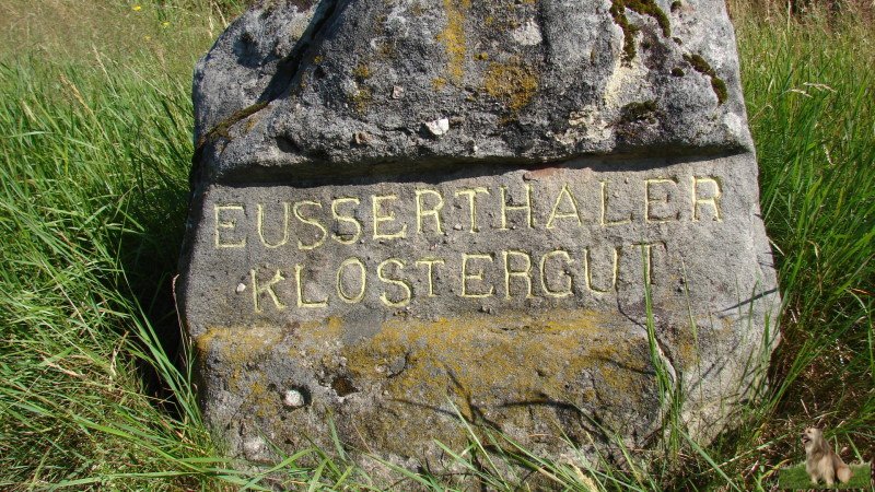 Ritterstein Nr. 052-1 Eusserthaler Klostergut.JPG - Ritterstein Nr.52 Eusserthaler Klostergut